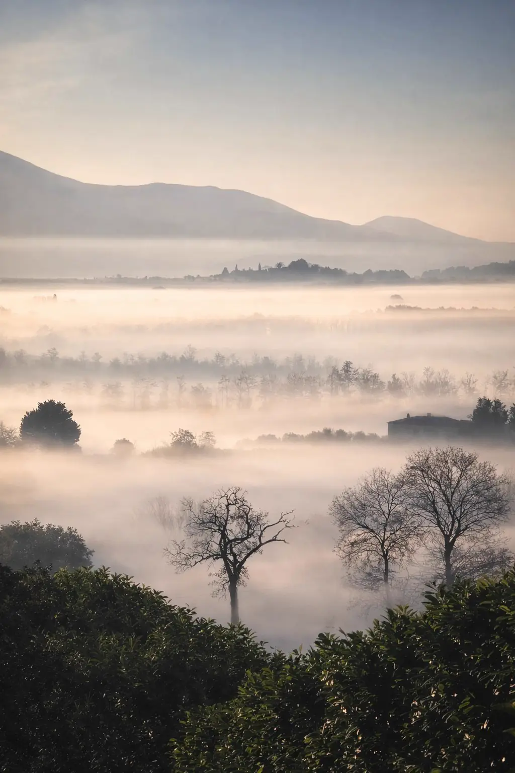 La valle invasa dalla nebbia all'alba, sul fondale dell'antico Lago Tiberino
