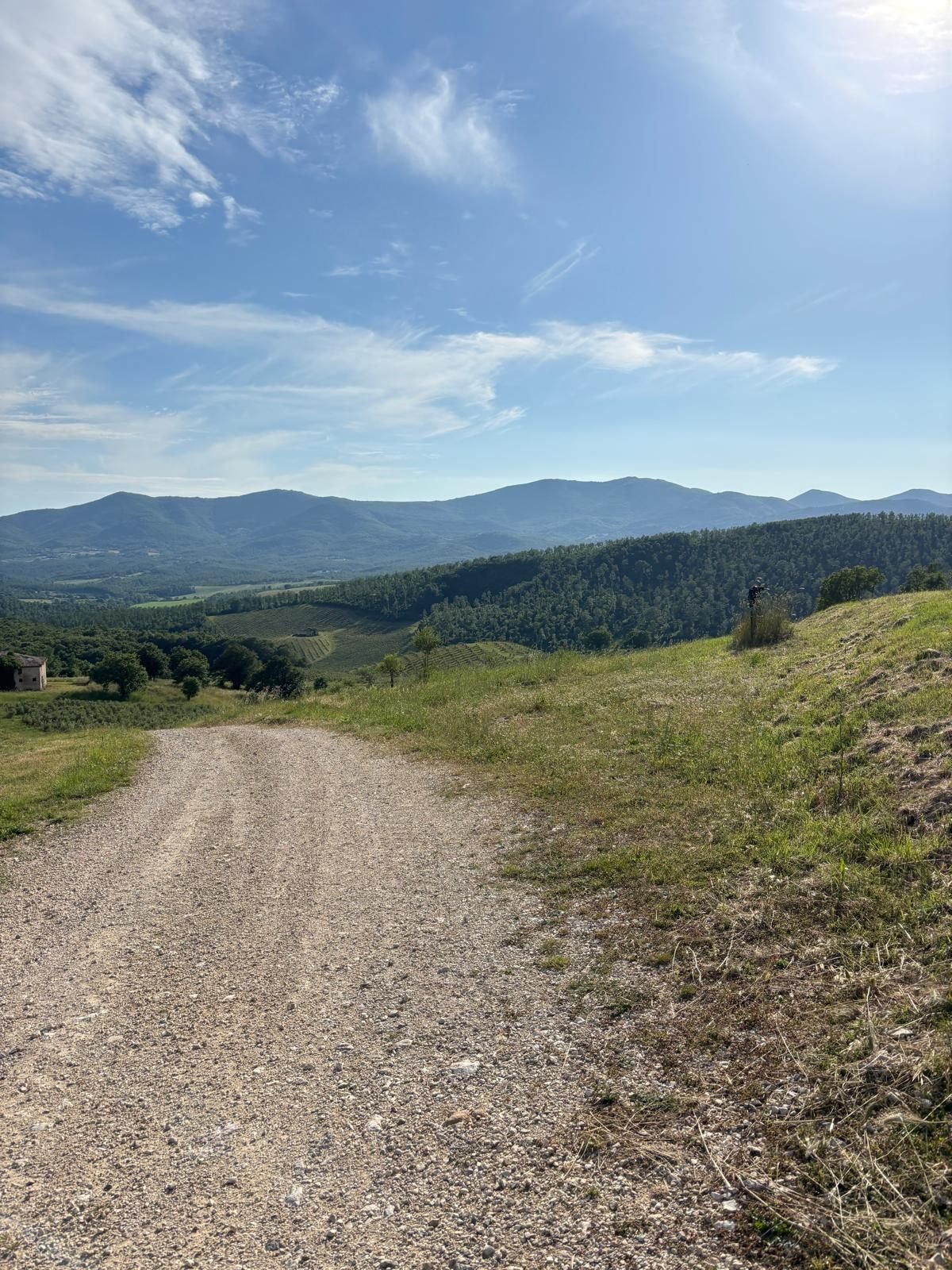 Sentiero sterrato tra le colline lungo il Cammino del Lago Tiberino